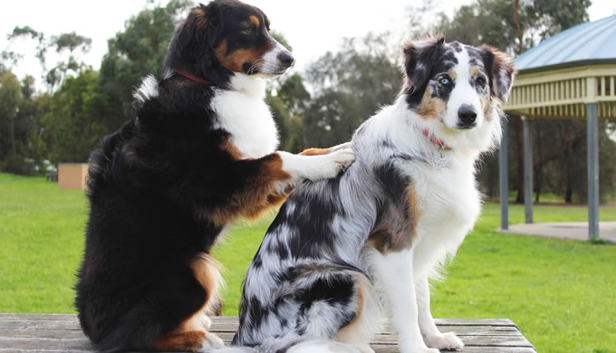 愛されキャラ いじられキャラが恋愛できない理由とモテ男になるための秘訣 初めての彼女の作り方とモテる技術 元非モテブサメンの恋愛講座